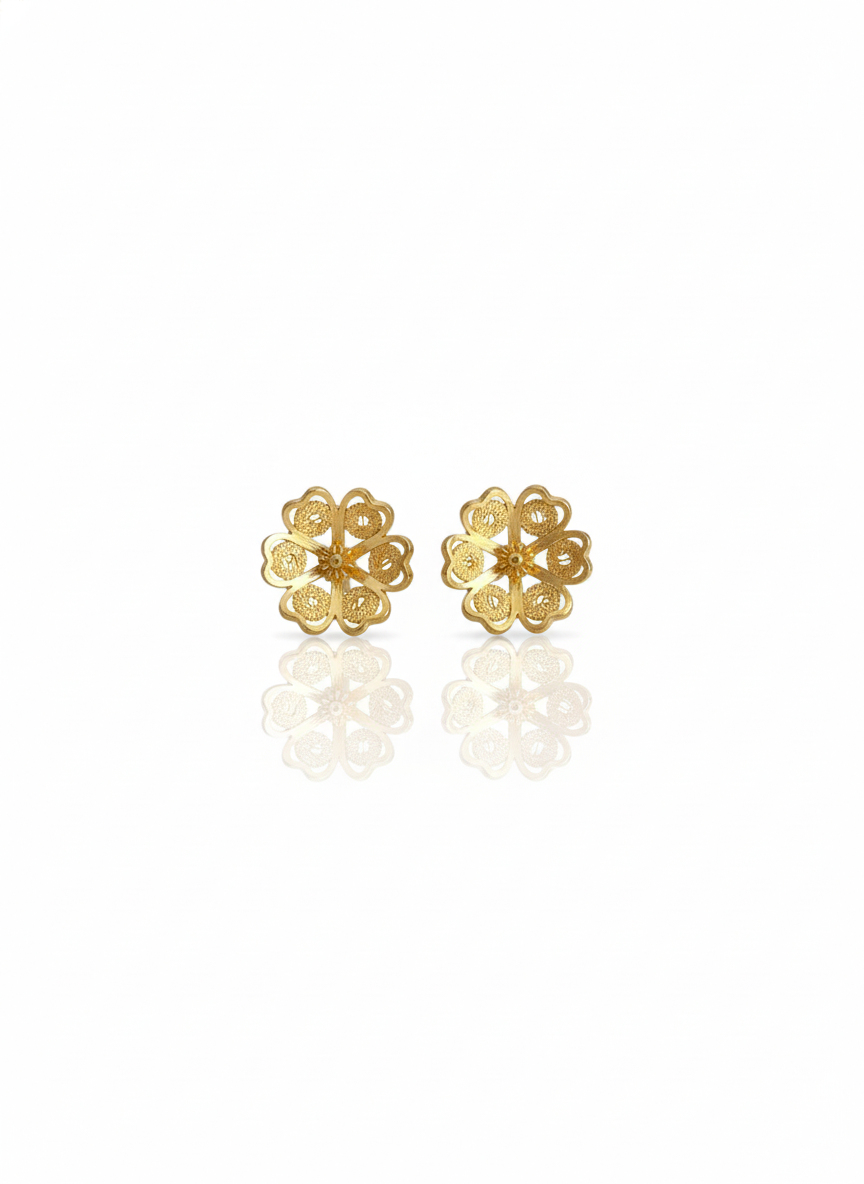 Aretes topo rosita