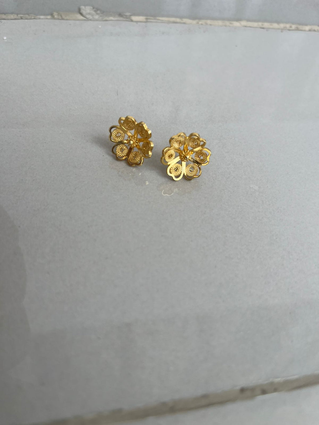 Aretes topo rosita